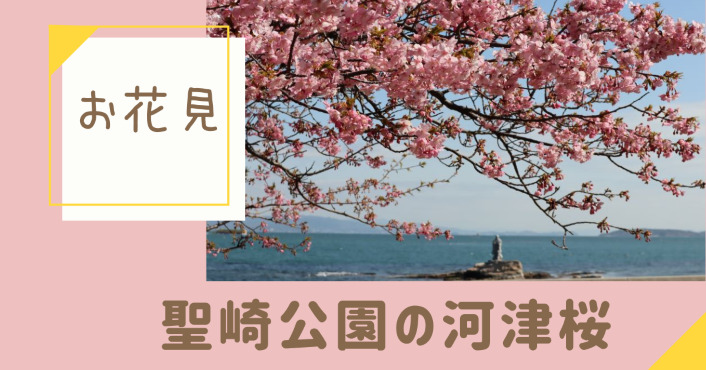 「聖崎公園の河津桜」のアイキャッチ画像