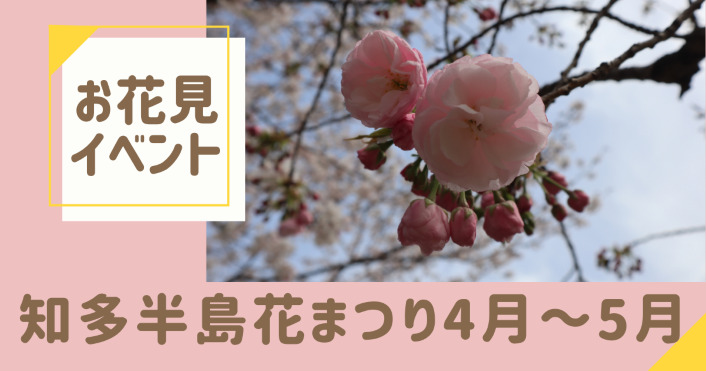 「知多半島花のまつり4月～5月」のアイキャッチ画像