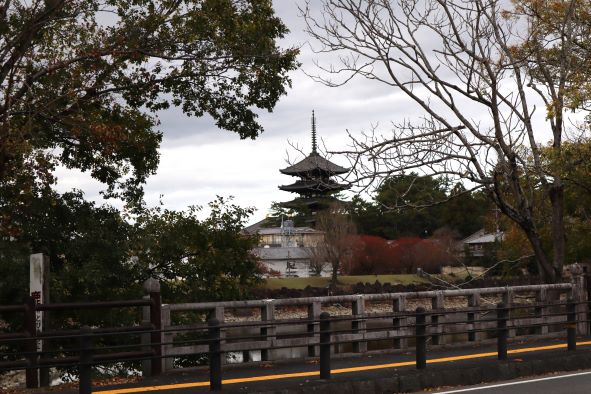 「荒池」と「興福寺の五重塔」
