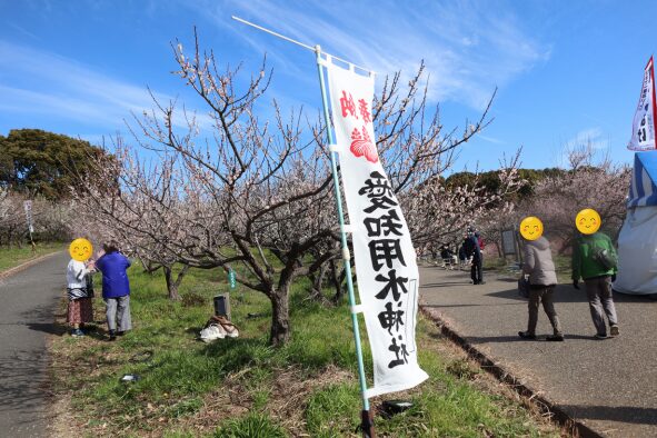 「愛知用水神社」参道と梅の花