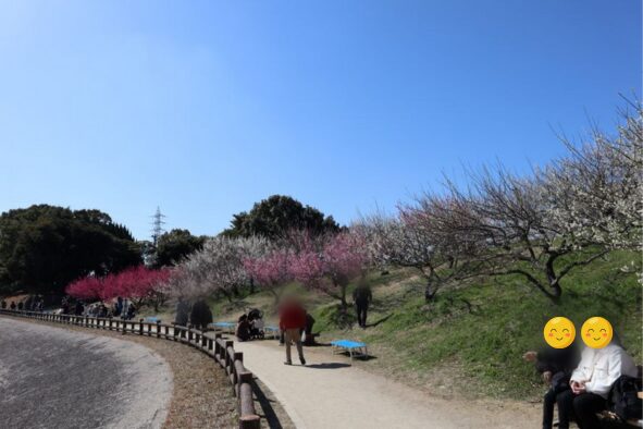 
左側が「佐布里池」。右斜面は色とりどりの梅の花。