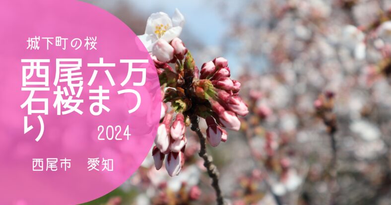 「西尾六万石桜まつり」アイキャッチ画像