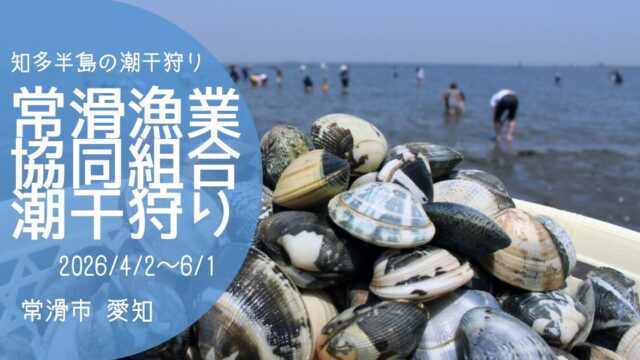 「常滑潮干狩り」2026　アイキャッチ画像