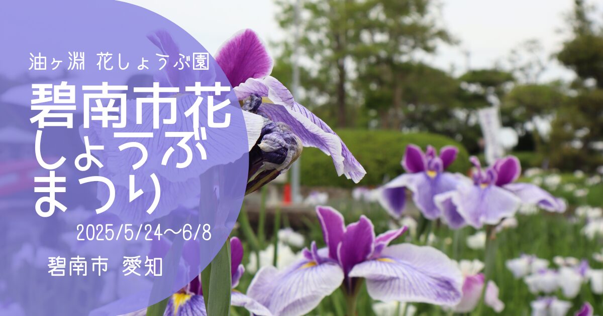 「碧南市花しょうぶまつり2025」アイキャッチ画像