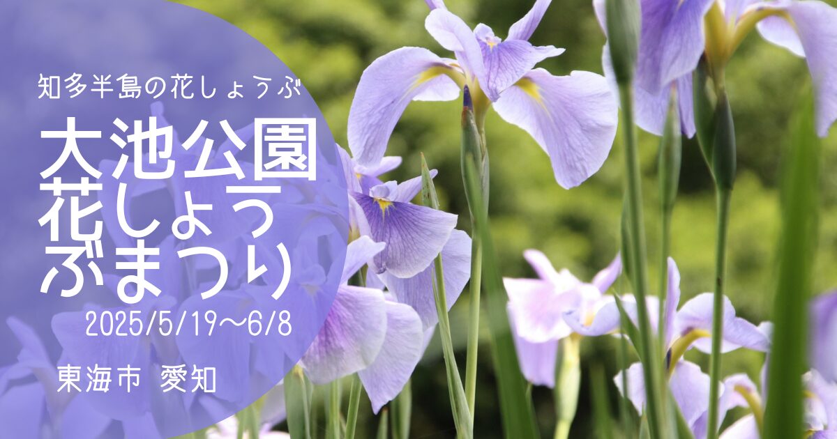 「大池公園花しょうぶまつり2025」アイキャッチ画像