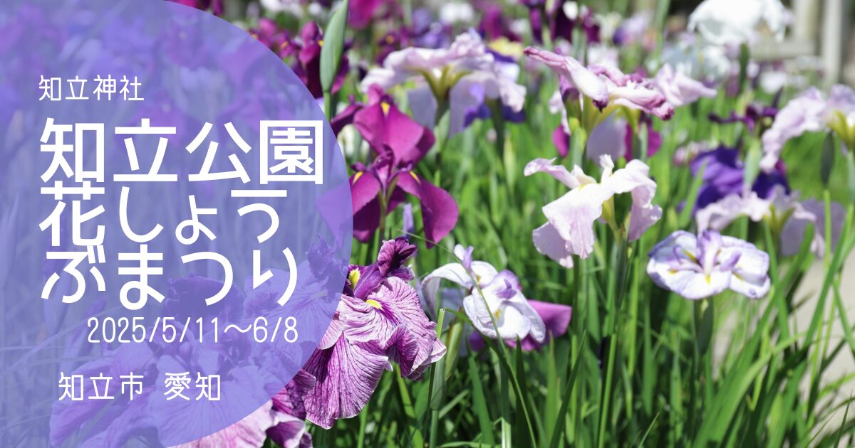 「知立公園花しょうぶまつり」2025　アイキャッチ画像