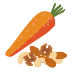 にんじんとナッツのイラスト