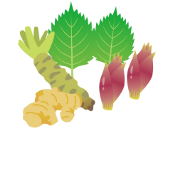 しょうが、わさび、しそ、みょうがのイラスト