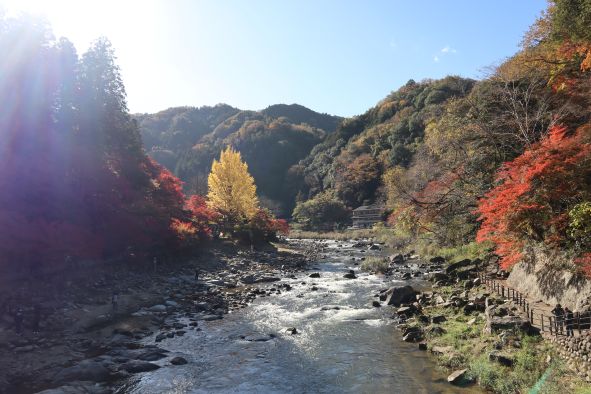 香嵐渓の紅葉