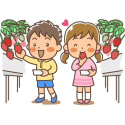 いちご狩りをする男の子と女の子のイラスト