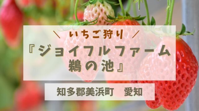 「ジョイフルファーム鵜の池」いちご狩り　アイキャッチ画像