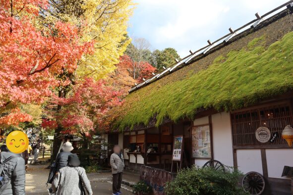 「三州足助屋敷」入口建物と見事な紅葉