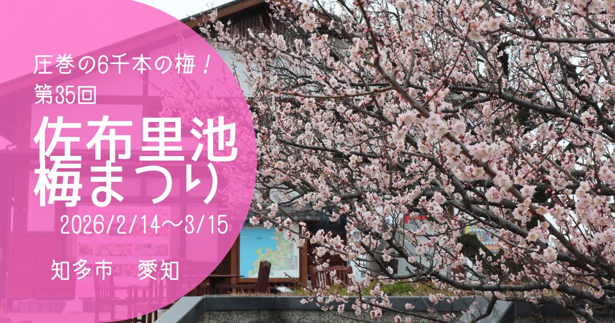 「佐布里池梅まつり2026」アイキャッチ画像