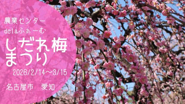 「しだれ梅まつり2026」アイキャッチ画像