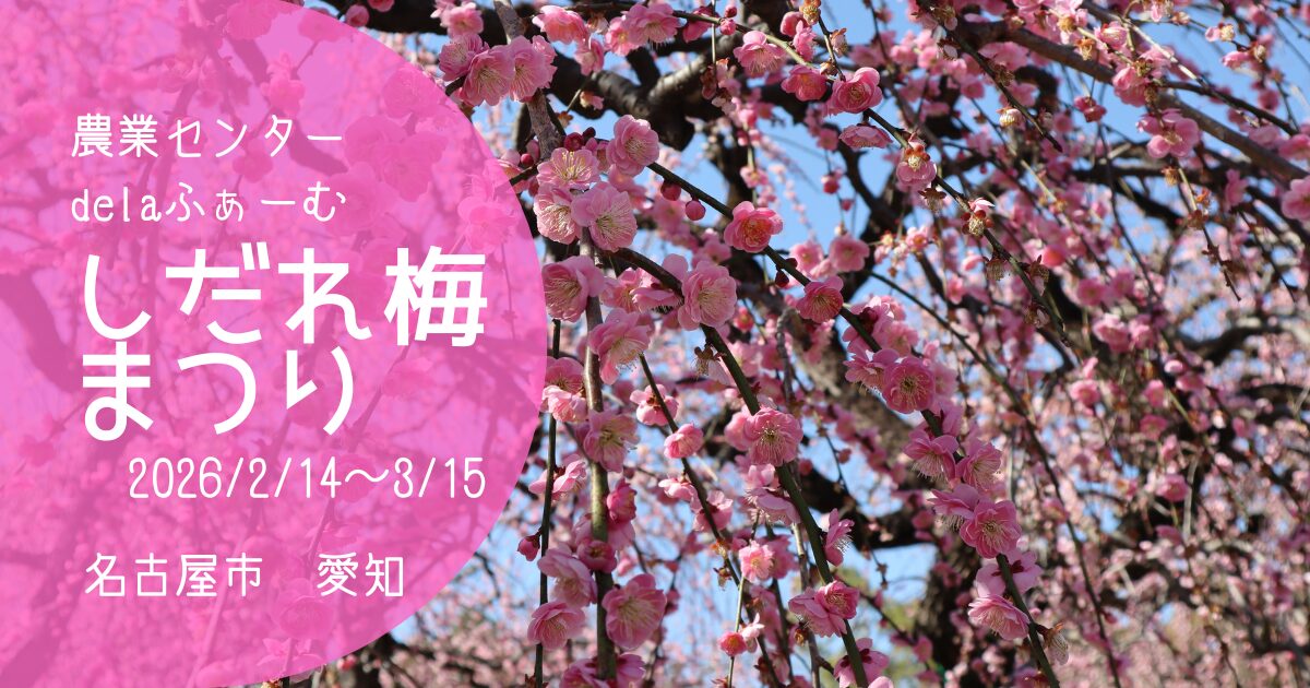 「しだれ梅まつり2026」アイキャッチ画像