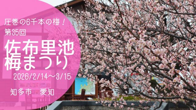 「佐布里池梅まつり2026」アイキャッチ画像