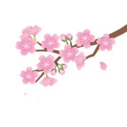 桜のイラスト