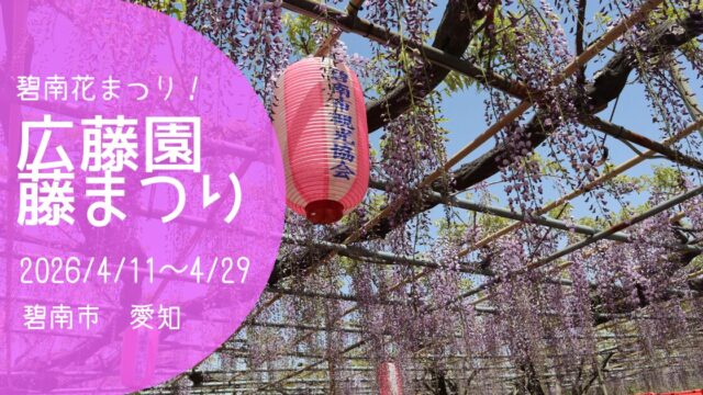 「広藤園藤まつり」2026　アイキャッチ画像