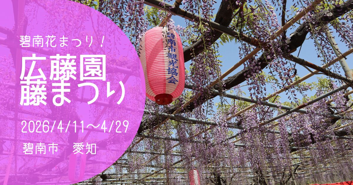 「広藤園藤まつり」2026　アイキャッチ画像