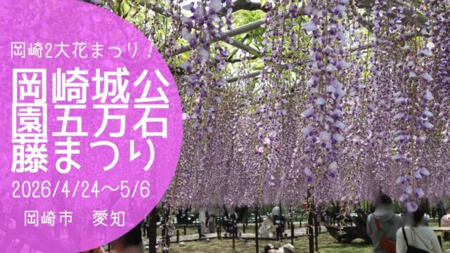 「岡崎城公園五万石藤まつり」2026　アイキャッチ画像
