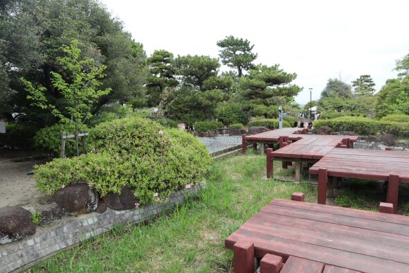 八ッ橋としょうぶ池の様子