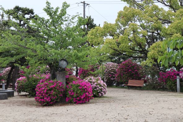 はだし広場のつつじ