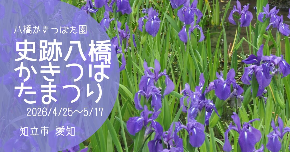 「八橋かきつばたまつり」2026　アイキャッチ画像
