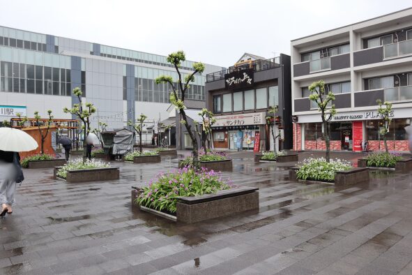 名鉄太田川駅東の広場のランの植え込み