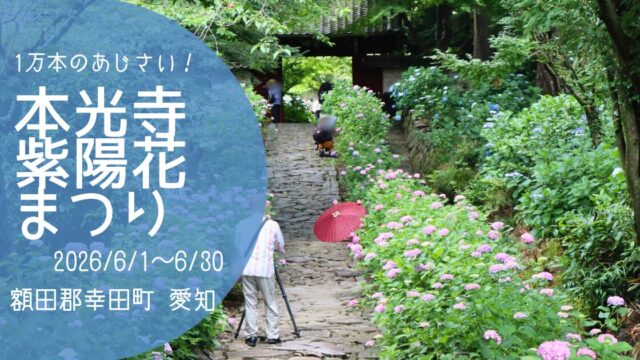 「本光寺紫陽花まつり」2026　アイキャッチ画像