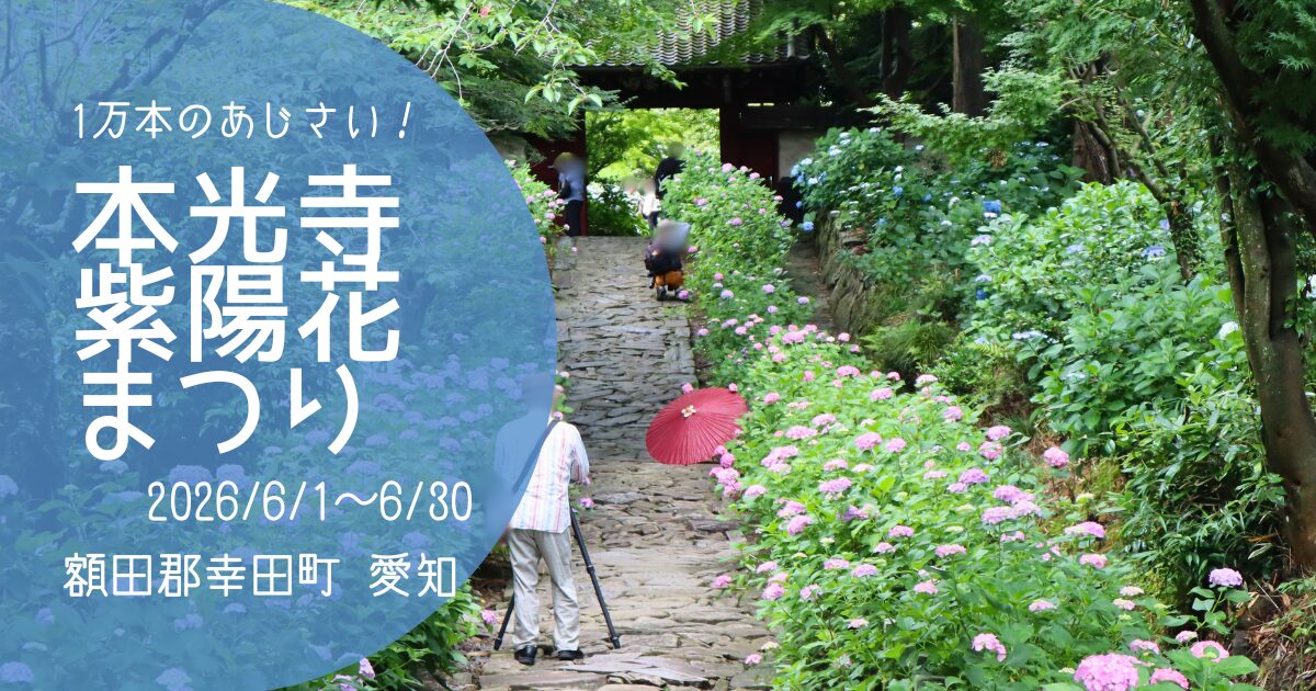 「本光寺紫陽花まつり」2026　アイキャッチ画像