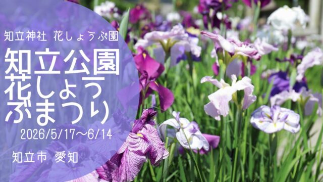 「知立公園花しょうぶまつり」2026　アイキャッチ画像