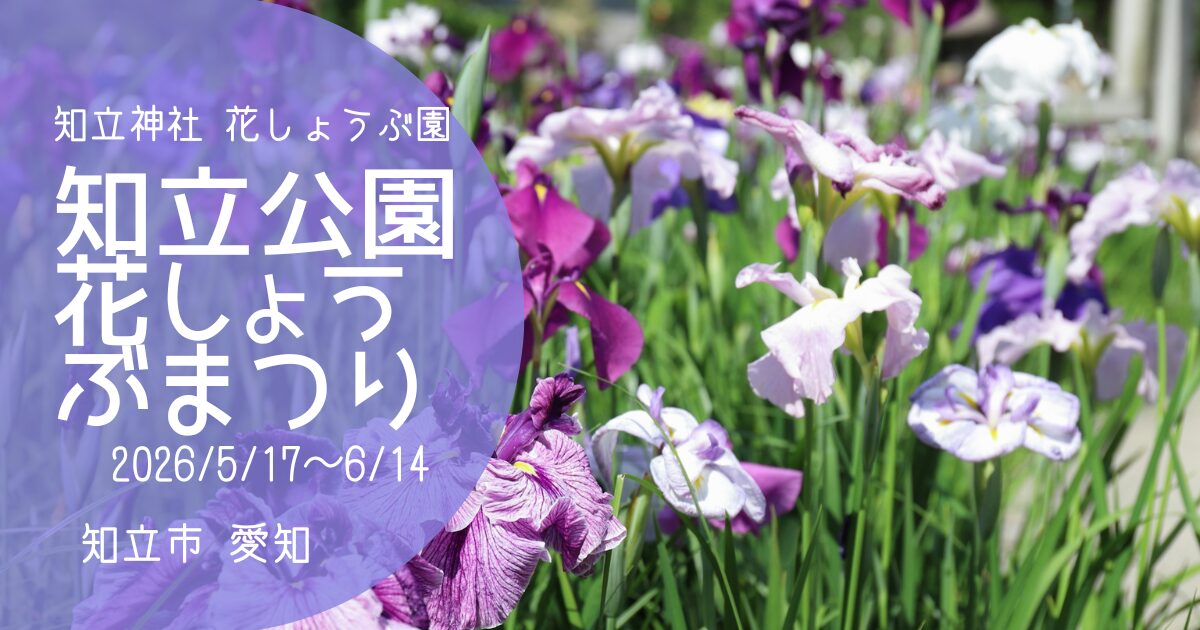 「知立公園花しょうぶまつり」2026　アイキャッチ画像