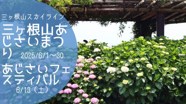 「三ヶ根山あじさいまつり＆あじさいフェスティバル」2026　アイキャッチ画像