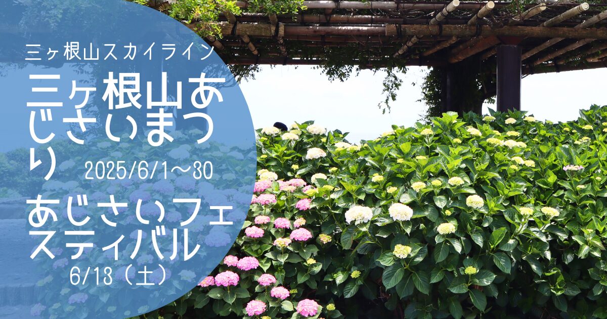 「三ヶ根山あじさいまつり＆あじさいフェスティバル」2026　アイキャッチ画像