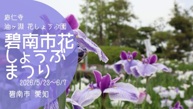 「碧南市花しょうぶまつり」2026 アイキャッチ画像