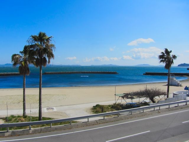 日間賀島の海岸